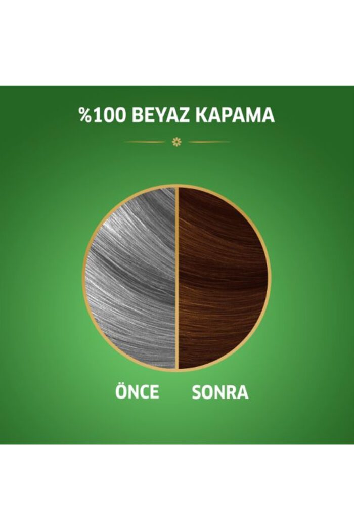 Naturals Saç Boyası Ayışığı Kahvesi 6/73 2x Paket - Görsel 2