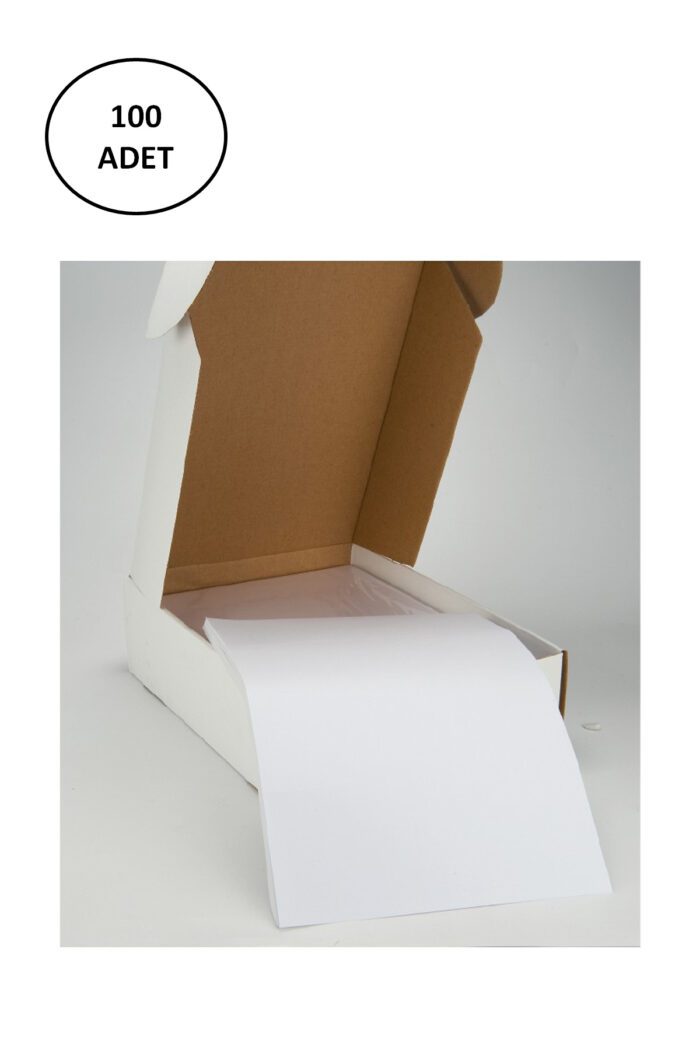 Tanex Tw-2000 210X297 Mm Lazer Etiket 100 Adet - Görsel 2