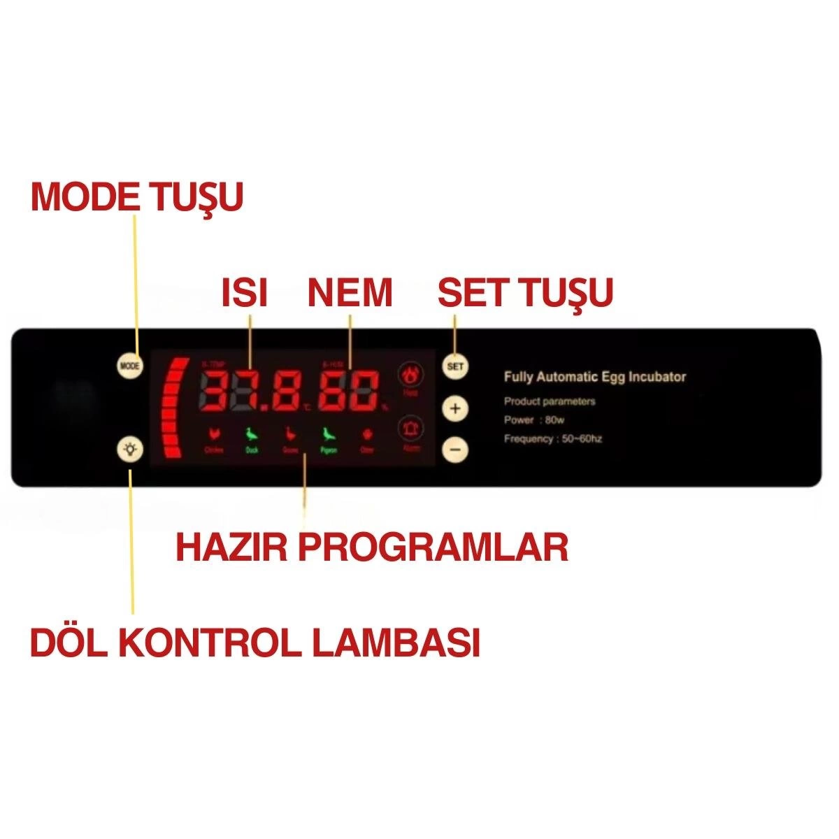 60 Yumurta Kapasiteli Tam Otomatik Kulucka Makinesi Civciv Kaz Hindi Ve Ordek Yetistiriciligi Epo W60 26353448 Sw1200sh1200 700x700 Epo-w64 Tam Otomatik Kuluçka Makinesi 64 Yumurta Kapasiteli Civciv Kaz Ördek Uyumlu + Yedek Motor najmaddin.com Epo-w64 Tam Otomatik Kuluçka Makinesi 64 Yumurta Kapasiteli Civciv Kaz Ördek Uyumlu + Yedek Motor - Görsel 4