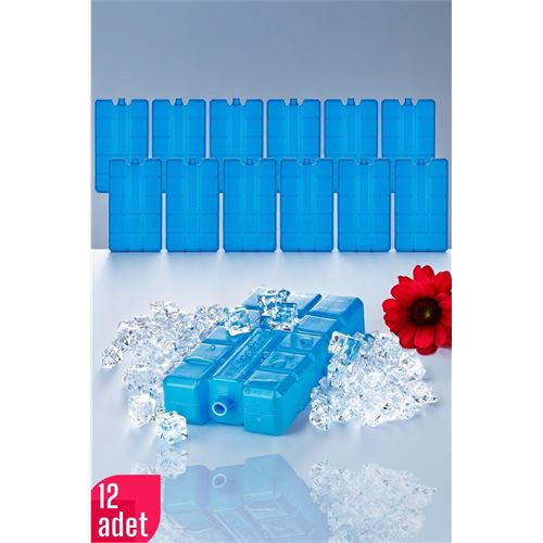 Turk Buz Aküsü Buz Kasedi 12 ADET