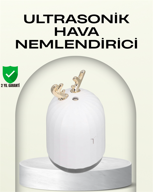 ABS+PP Malzemeli Taşınabilir 220 ml USB Mist Nemlendirici