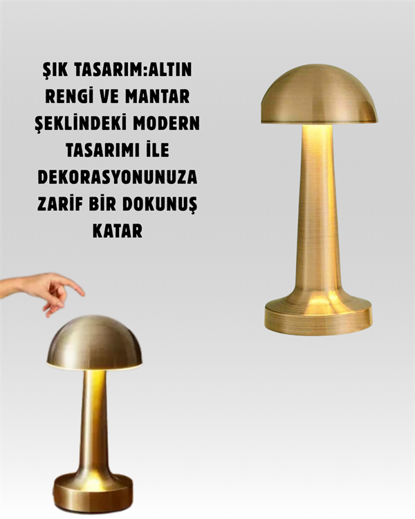 Dimmer Özellikli ve Renk ModluUSB şarjlı