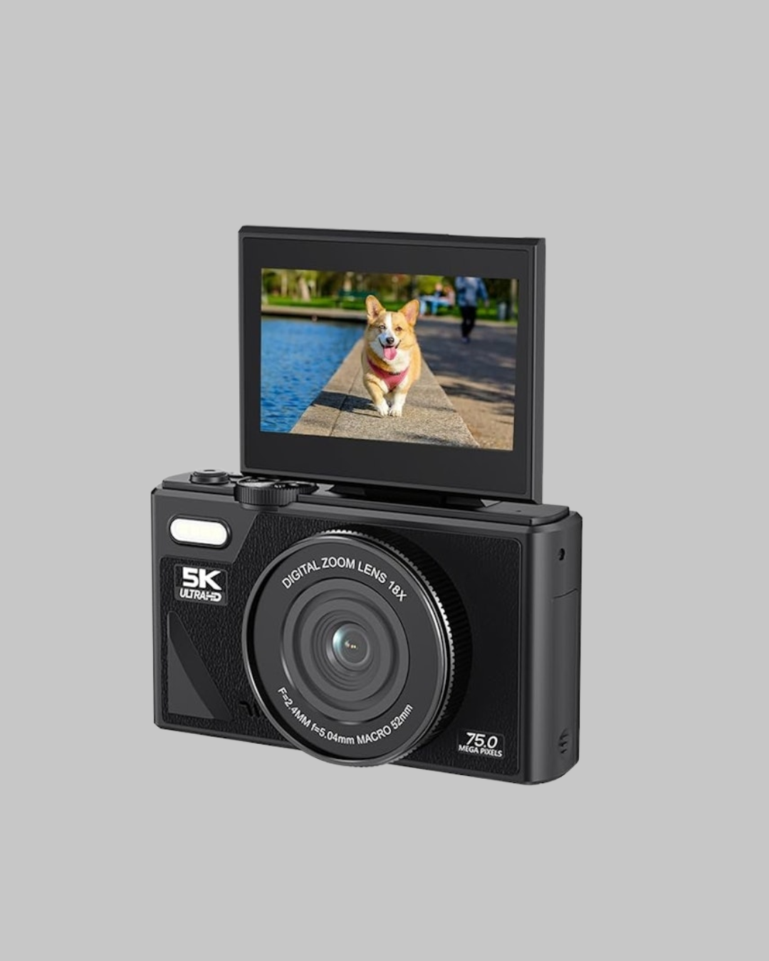 Bu kompakt dijital kamera