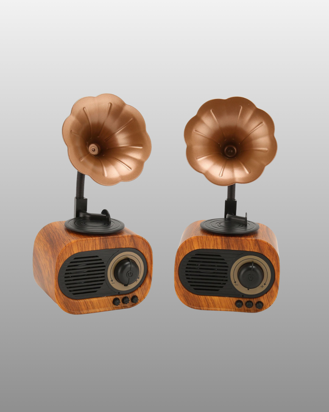 Mini retro hoparlör