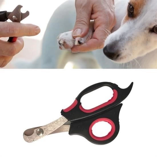 Buyuk Irk Kopek Kedi Celik Uclu Evcil Hayvan Tirnak Makasi Pati Bakim Aleti Ergonomik Kaymaz 151941695 Sw550sh550 Büyük Irk Köpek Kedi Çelik Uçlu Evcil Hayvan Tırnak Makası Pati Bakım Aleti Ergonomik Kaymaz najmaddin.com Büyük Irk Köpek Kedi Çelik Uçlu Evcil Hayvan Tırnak Makası Pati Bakım Aleti Ergonomik Kaymaz