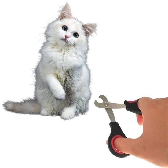 Buyuk Irk Kopek Kedi Celik Uclu Evcil Hayvan Tirnak Makasi Pati Bakim Aleti Ergonomik Kaymaz 324010496 Sw550sh550 Büyük Irk Köpek Kedi Çelik Uçlu Evcil Hayvan Tırnak Makası Pati Bakım Aleti Ergonomik Kaymaz najmaddin.com Helvetica