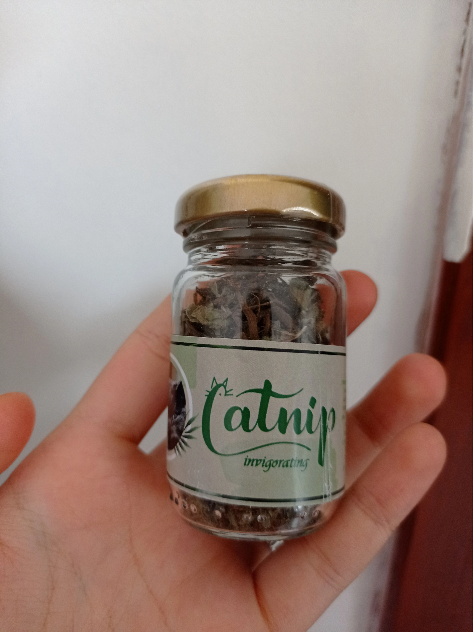 Catnip Dogal Kedi Otu Kedi Nanesi 260418484 Sw2992sh4000 700x936 Catnip Doğal Kedi Otu - Kedi Nanesi najmaddin.com Catnip Doğal Kedi Otu - Kedi Nanesi