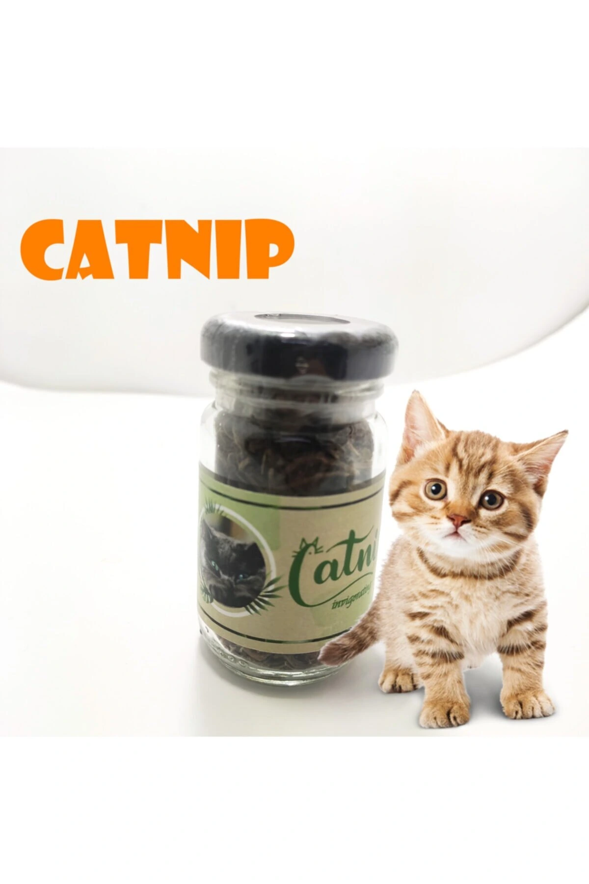 Catnip Dogal Kedi Otu Kedi Nanesi 372405388 Sw1200sh1800 700x1050 Catnip Doğal Kedi Otu - Kedi Nanesi najmaddin.com Catnip Doğal Kedi Otu - Kedi Nanesi - Görsel 3