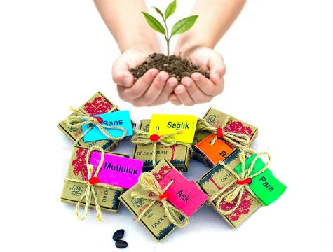 Dilek Tohumlari Saglik 299341894 Sw475sh360 Dilek Tohumları - Sağlık najmaddin.com Dilek Tohumları - Sağlık