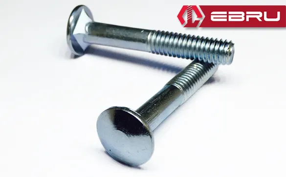 Eco Lounge Ebru Kasa Civata 1/4x60 - 20 Adet