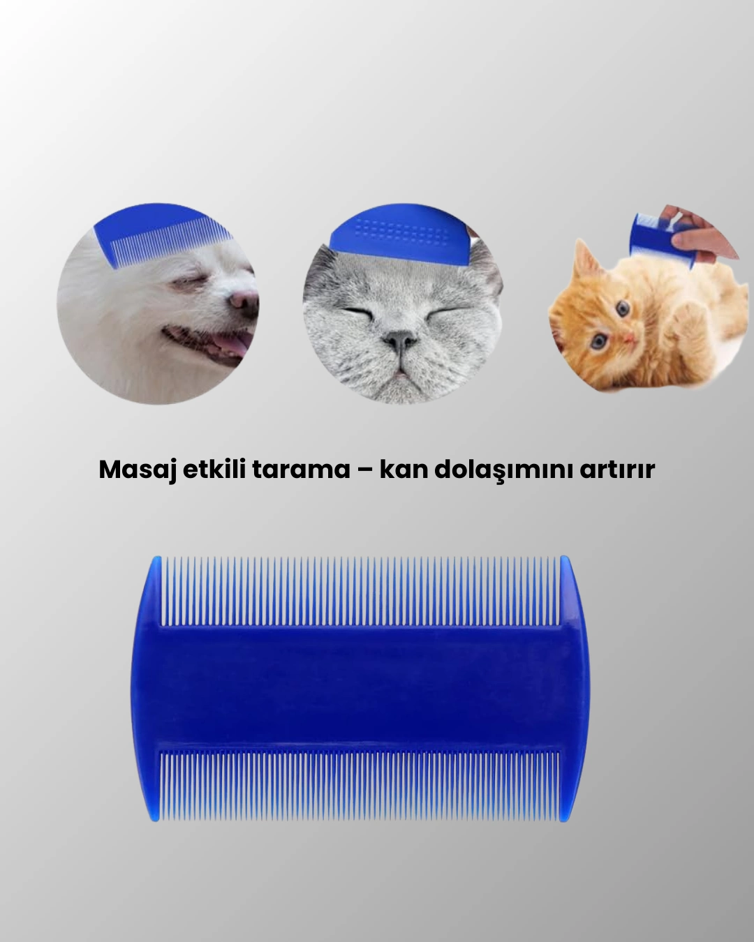 Evcil Hayvan Bakimi Icin Dayanikli Ve Cok Amacli Tarak Seti 4 Parca 270583523 Sw1080sh1350 700x875 Evcil Hayvan Bakımı İçin Dayanıklı ve Çok Amaçlı Tarak Seti (4 Parça) najmaddin.com Bit