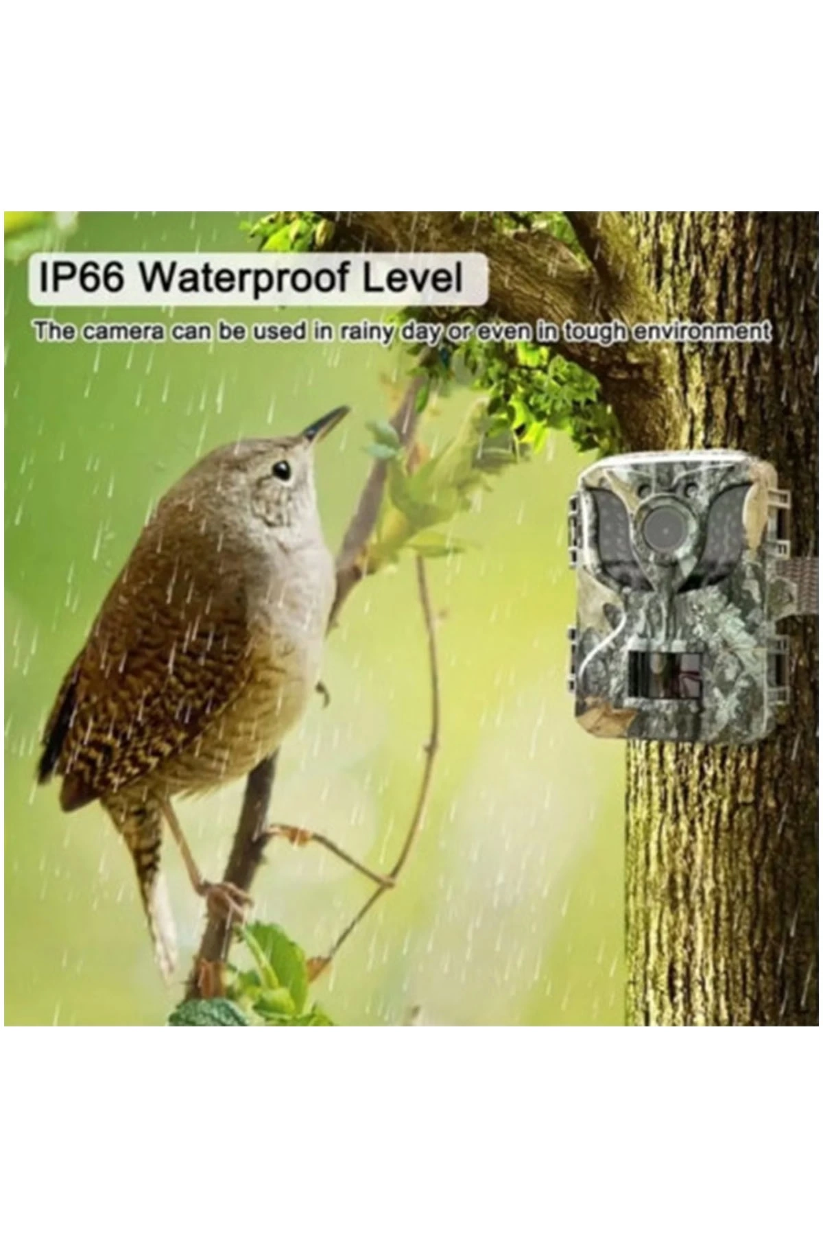 Fotokapan Kamera 16mp Full Hd 1080p Gece Görüşlü 2 Inç Lcd Ekran Su Geçirmez - Görsel 3