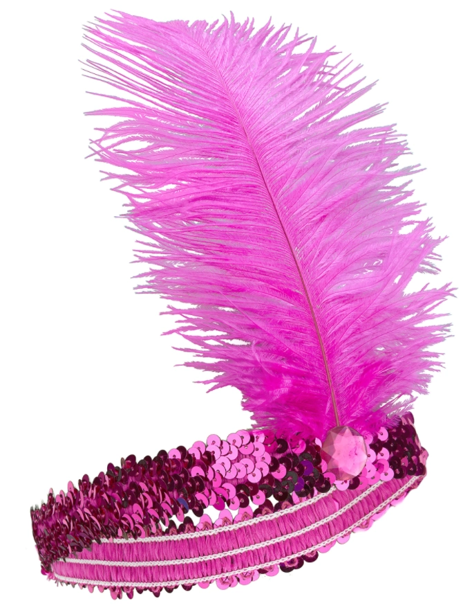 Fusya Renk Carliston Sac Bandi 215885597 Sw670sh878 Fuşya Renk Çarliston Saç Bandı najmaddin.com Fuşya Renk Çarliston Saç Bandı
