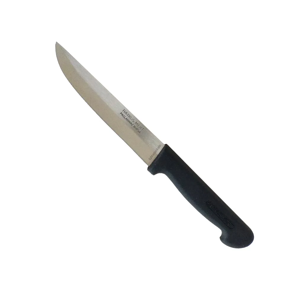 Hayrus Mert Paslanmaz Bursa Mutfak Ekmek Bicagi 155 Cm Plastik Sap 114452659 Sw1000sh1000 700x700 Eco Lounge Hayruş Mert Paslanmaz Bursa Mutfak, Ekmek Bıçağı 15,5 cm, Plastik Sap najmaddin.com Eco Lounge Hayruş Mert Paslanmaz Bursa Mutfak