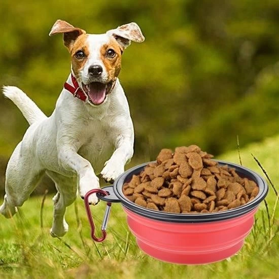 Katlanabilir Kedi Kopek Mama Ve Su Kabi Kopek Oyuncagi 158747556 Sw550sh550 Katlanabilir Kedi Köpek Mama ve Su Kabı Köpek Oyuncağı najmaddin.com Katlanabilir Kedi Köpek Mama ve Su Kabı Köpek Oyuncağı