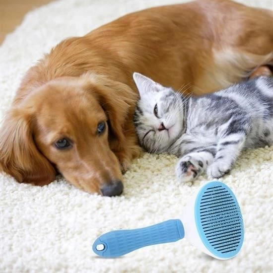 Kedi Kopek Tuy Toplayici Kendini Temizleyebilen Ergonomik Sapli Evcil Hayvan Taragi Mavi 276399792 Sw550sh550 Kedi Köpek Tüy Toplayıcı Kendini Temizleyebilen Ergonomik Saplı Evcil Hayvan Tarağı Mavi najmaddin.com Kedi Köpek Tüy Toplayıcı Kendini Temizleyebilen Ergonomik Saplı Evcil Hayvan Tarağı Mavi - Görsel 2