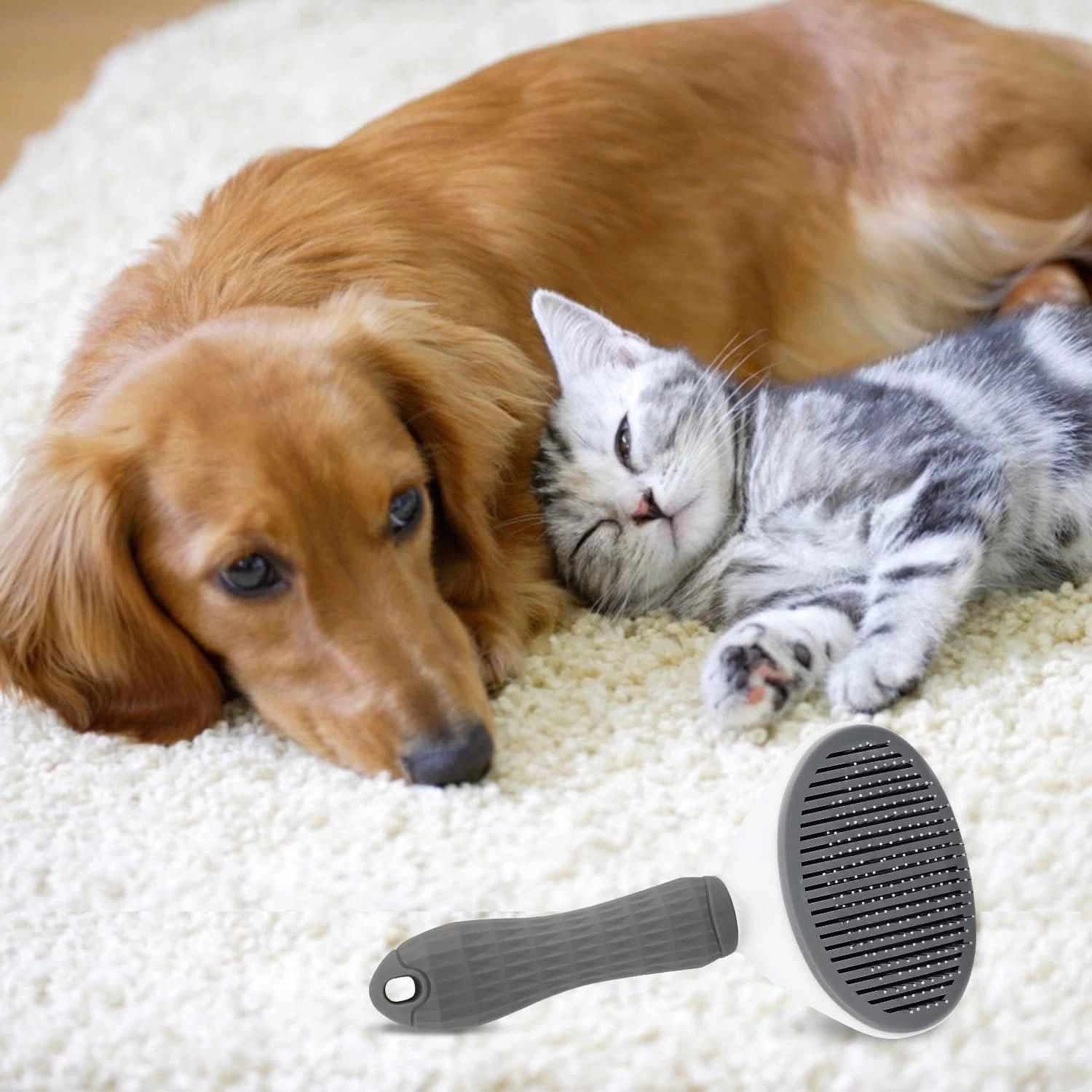 Kedi Kopek Tuy Toplayici Pet Tarak 20 Cm 241308039 Sw1500sh1500 700x700 Kedi Köpek Tüy Toplayıcı Pet Tarak 20 Cm najmaddin.com Kedi Köpek Tüy Toplayıcı Pet Tarak 20 Cm
