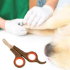 Küçük Çelik Uçlu Kedi Köpek Evcil Hayvan Tırnak Makası Pati Bakım Aleti Ergonomik Kaymaz Sap-1 Adet Fiyatı