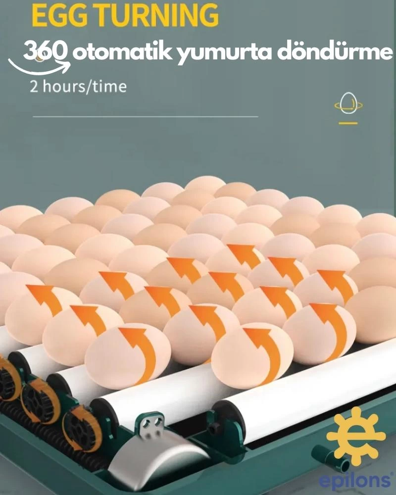 Kuluçka Makinesi 130 Tavuk Yumurtalı Extra Yedek Motorlu İncubator - Görsel 4