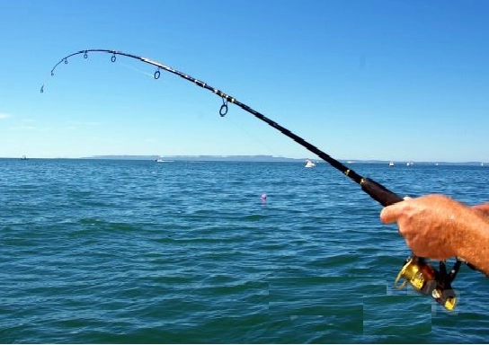 Misina 300m Polietilen Microfiber 2.0 Ip Misina Yeşil - Görsel 3