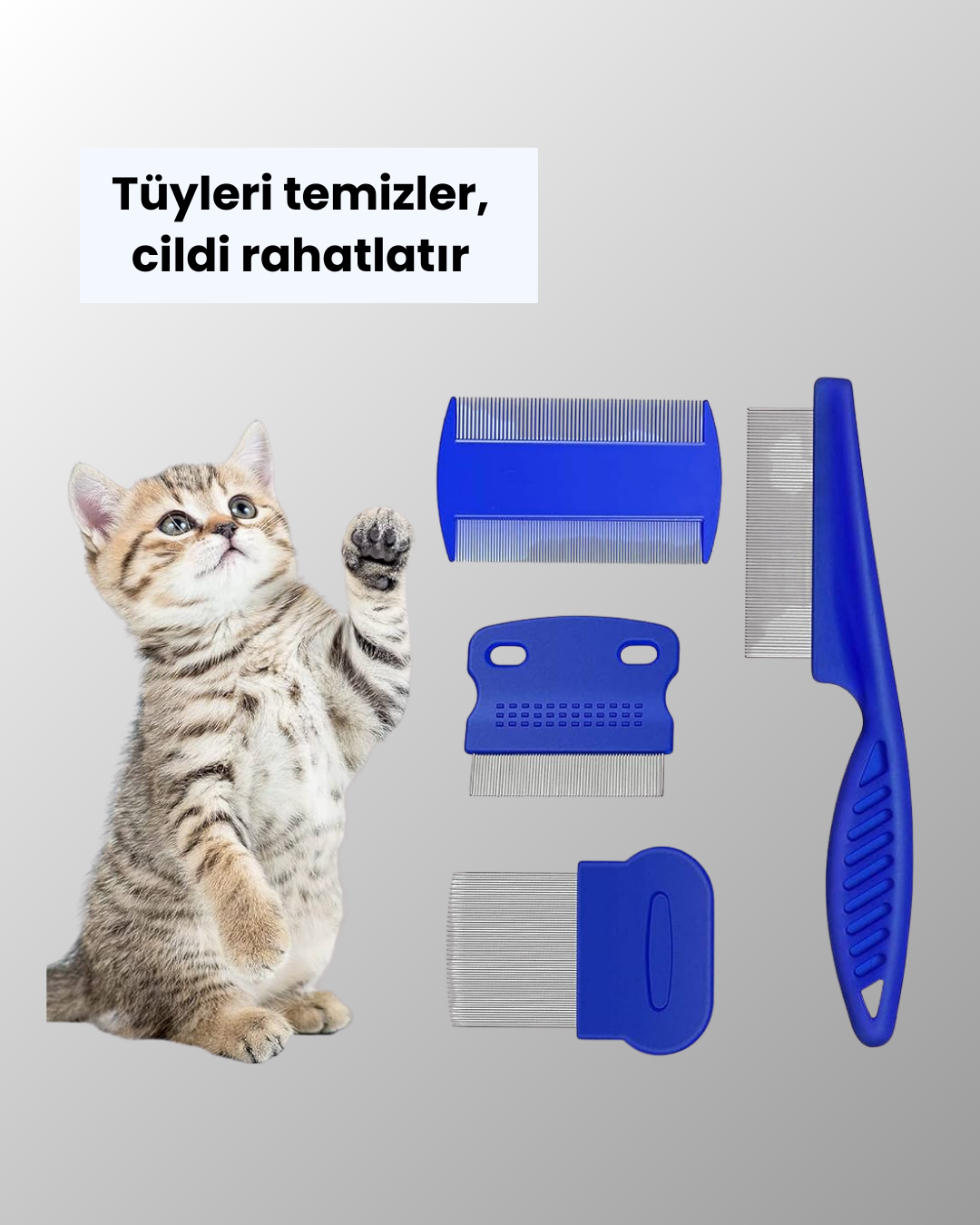Najmaddin.com 4 205 700x875 Evcil Hayvan Bakımı İçin Dayanıklı ve Çok Amaçlı Tarak Seti (4 Parça) najmaddin.com hassas bölgeler için uygundur. Uzun dişli tarak
