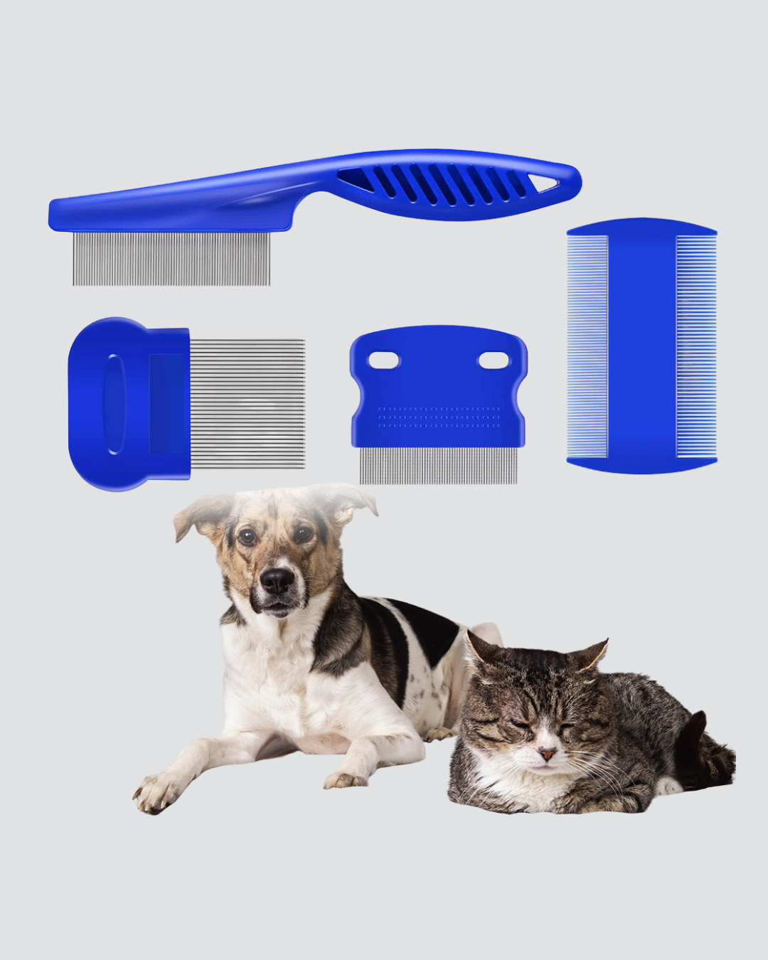 Najmaddin.com 4 2588 700x875 4’lü Kedi Köpek Tüy Temizleme Seti – Paslanmaz ÇelikErgonomik ve Uzun Ömürlü najmaddin.com 8 cm