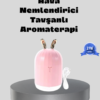 Kuru havaya
