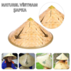 Naturel Renk Cambodia Kamboçyalı Vietnam Şapkası PVC Hasır