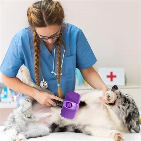 Otomatik Temizlenebilen Tuslu Pratik Kedi Kopek Tuy Toplama Fircasi 323322853 Sw550sh550 Otomatik Temizlenebilen Tuşlu Pratik Kedi Köpek Tüy Toplama Fırçası najmaddin.com Otomatik Temizlenebilen Tuşlu Pratik Kedi Köpek Tüy Toplama Fırçası - Görsel 3