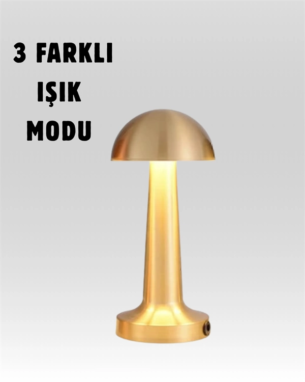 Sarjli Dimmerli Led Masa Lambasi 4 8 Saat Aydinlatma 237796592 Sw600sh750 Şarjlı Dimmerli LED Masa Lambası – 4-8 Saat Aydınlatma najmaddin.com Masa başı konforunu artırmak isteyenler için özel olarak tasarlanmış bu USB şarjlı LED masa lambası; modern tasarımı