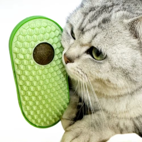 Silikon Kasiyicili Kedi Otu 225296134 Sw500sh500 Silikon Kaşıyıcılı Kedi Otu najmaddin.com Silikon Kaşıyıcılı Kedi Otu