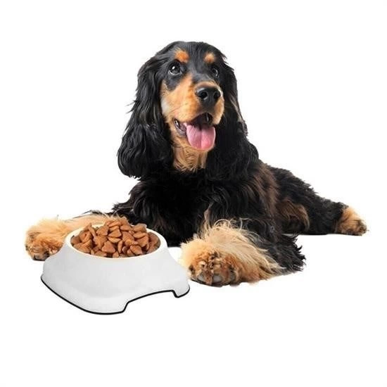 Silikon Kaydirmaz Taban Plastik Kedi Ve Kopek Mama Ve Su Kabi 2 L 213495970 Sw550sh550 Silikon Kaydırmaz Taban Plastik Kedi ve Köpek Mama ve Su Kabı 2 L najmaddin.com Silikon Kaydırmaz Taban Plastik Kedi ve Köpek Mama ve Su Kabı 2 L