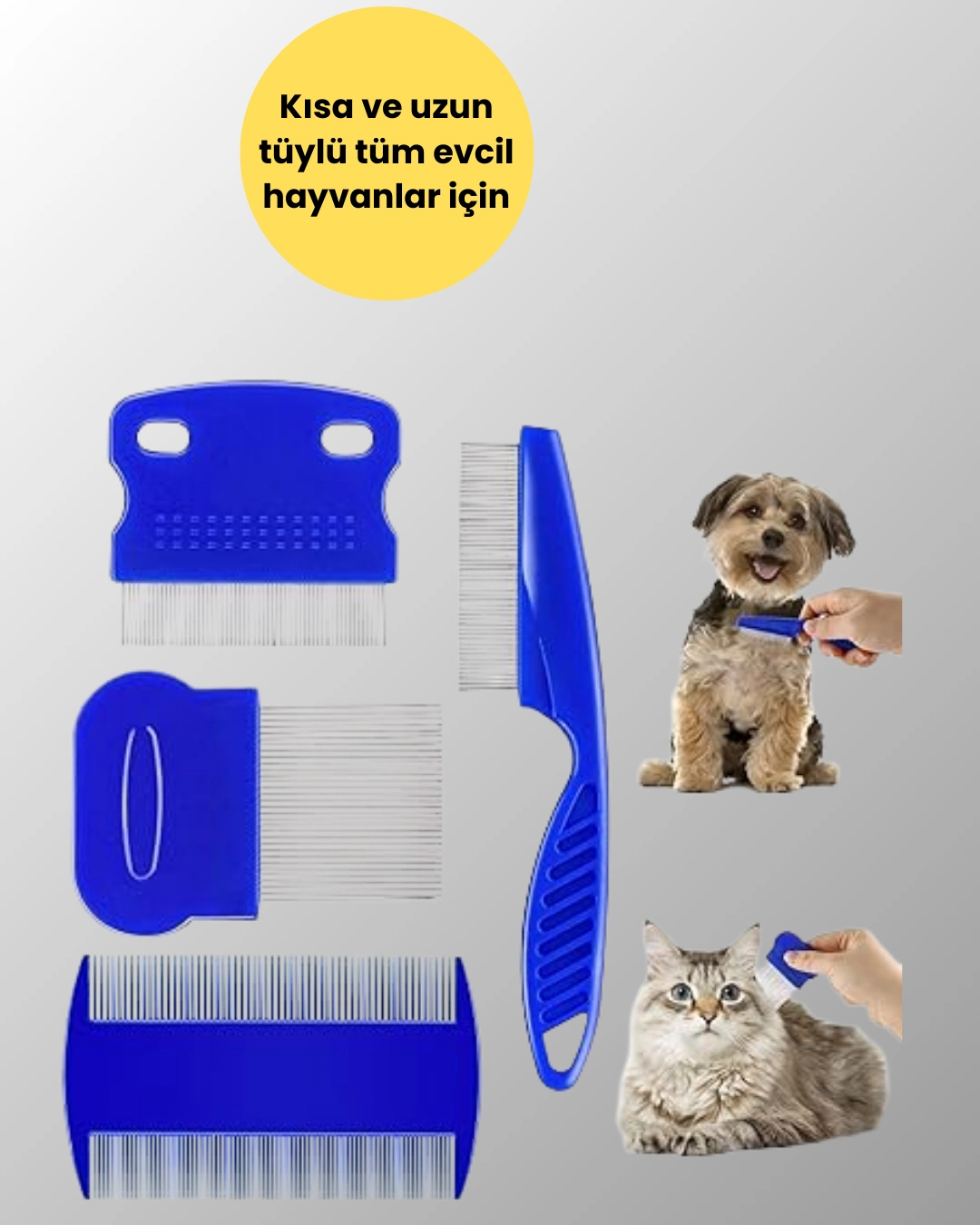 Uzun Ve Kisa Tuylu Hayvanlara Ozel Bit Taragi Ve Tuy Temizleme Seti 248125738 Sw1080sh1350 700x875 Uzun ve Kısa Tüylü Hayvanlara Özel Bit Tarağı ve Tüy Temizleme Seti najmaddin.com Evcil hayvanınızın sağlığı için düzenli tüy temizliği önemlidir. Bu amaçla tasarlanan 4 parçalı tarak seti