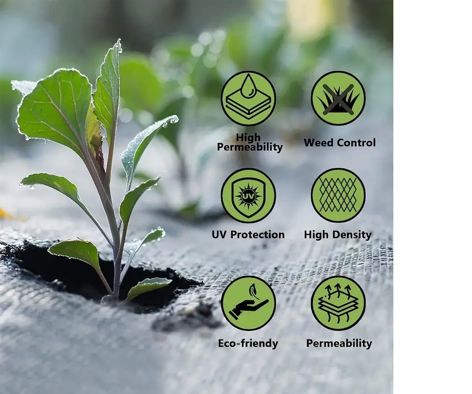 Yabani Ot Bariyer Matı - Görsel 3