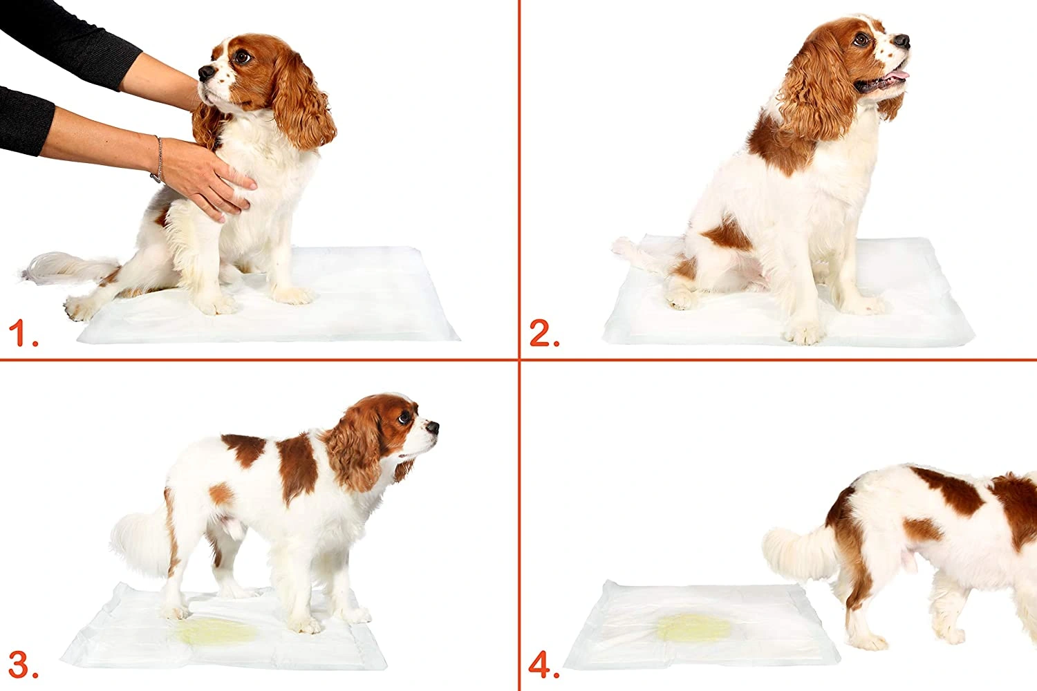 Yikanabilir Kopek Cis Pedi 100 X 100 Cm 5li Paket 278297990 Sw1500sh1000 700x467 Yıkanabilir Köpek Çiş Pedi - 100 X 100 Cm 5li Paket najmaddin.com Yıkanabilir Köpek Çiş Pedi - 100 X 100 Cm 5li Paket