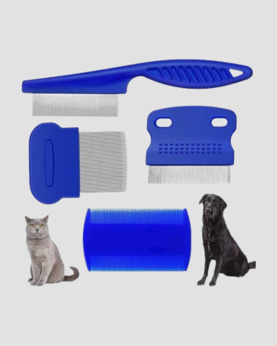 4lu Evcil Hayvan Tuy Temizleme Seti Paslanmaz Celikplastik Pratik Ve Hijyenik Bakim 216242987 Sw1080sh1350 700x875 4’lü Evcil Hayvan Tüy Temizleme Seti – Paslanmaz Çelik,Plastik, Pratik ve Hijyenik Bakım najmaddin.com Plastik