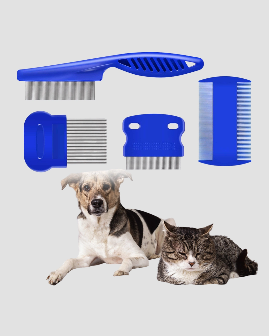4lu Evcil Hayvan Tuy Temizleme Seti Paslanmaz Celikplastik Pratik Ve Hijyenik Bakim 338421847 Sw1080sh1350 700x875 4’lü Evcil Hayvan Tüy Temizleme Seti – Paslanmaz Çelik,Plastik, Pratik ve Hijyenik Bakım najmaddin.com Pratik ve Hijyenik Bakım
