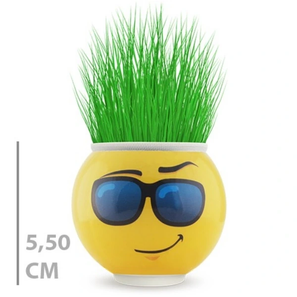 Cim Adam Saksi Emoji Figurlu 1 Adet 195434217 Sw600sh600 Çim Adam Saksı Emoji Figürlü 1 Adet najmaddin.com Çim Adam Saksı Emoji Figürlü 1 Adet
