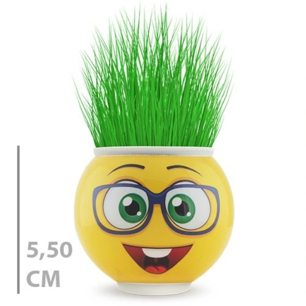 Cim Adam Saksi Emoji Figurlu 1 Adet 245904443 Sw600sh600 Çim Adam Saksı Emoji Figürlü 1 Adet najmaddin.com Çim Adam Saksı Emoji Figürlü 1 Adet