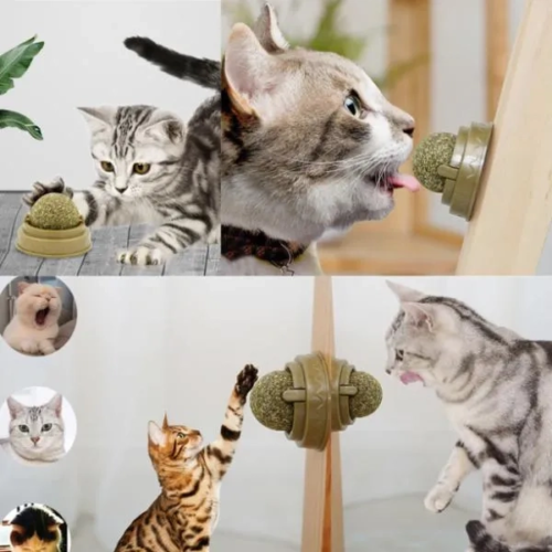 Kedi Nanesi Oyun Topu 126804089 Sw600sh600 500x500 ✨Najmaddin.com | Dilekten başarıya — şimdi sihir başlasın! najmaddin.com Kedi Nanesi Oyun Topu