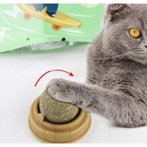 Kedi Nanesi Oyun Topu 324885574 Sw500sh500 Kedi Nanesi Oyun Topu najmaddin.com Kedi Nanesi Oyun Topu - Görsel 3