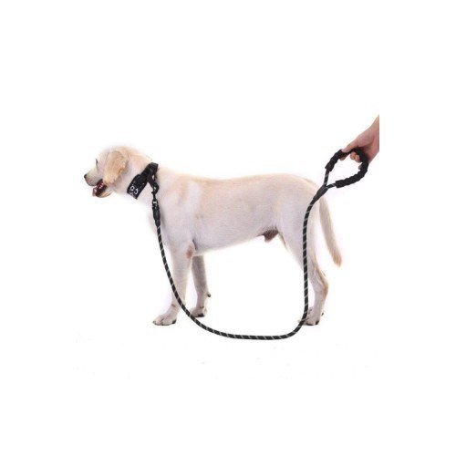 562741416465 2 500x500 1 Reflektörlü Köpek Tasması 130 Cm. najmaddin.com ip yanmalarından koruyarak kolay ve konforlu bir şekilde kullanmanızı sağlar. Şık ve Özel tasarımlı yapısıyla beğeninizi kazanacaktır. köpek tasma en güçlü 1/2 inç çaplı kaya tırmanma ipi ve sizin ve köpek güvenli için çok dayanıklı klip kanca ile yapılmıştr .Son derece yansıtıcı iplikler köpek tasmaları