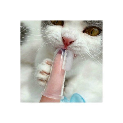562741417628 4 500x500 1 Kedi Köpek Diş Temizleme Fırçası najmaddin.com rahat temizlenmesi ve kolay taşınabilirliği ile bir sahibinaradığı her özelliğe sahip bir üründür. Fırça yüzeyi hayvanınızın dişlerine uygun yumuşaklıktadır
