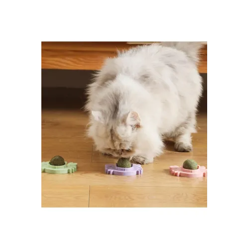 562741417866 2 500x500 1 Yengeç Kedi Otu Oyun Topu najmaddin.com kimyasal
