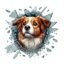 Fulcar Australian Shepherd Araç Stickerı