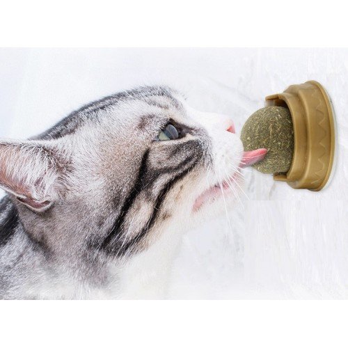 562741434985 2 500x500 1 Kedi Nanesi (Catnip) Oyun Topu najmaddin.com diş etlerini masaj yaparak rahatlatır ve ağız kokusunu önler.Stres ve Anksiyete Giderici: Kedi nanesi