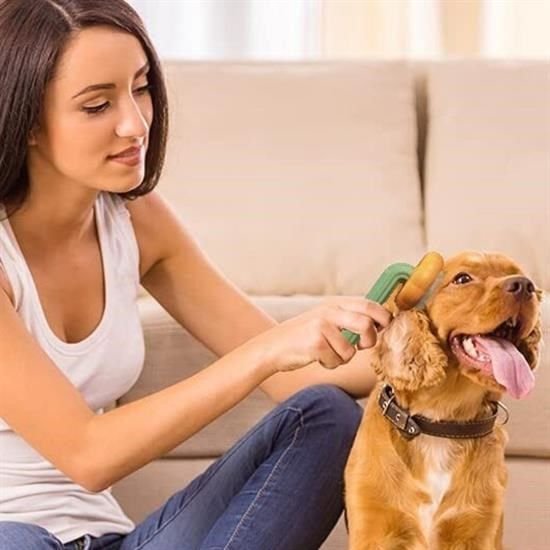 83dd4827cb14441e8c6067ec539c7132 Plastik Yeşil Evcil Hayvan Bakım Pet Fırçası Çok Amaçlı Pet Fırçası Yeşil najmaddin.com Helvetica
