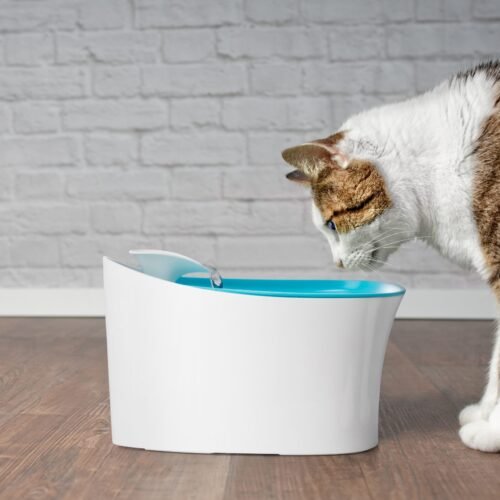 SHT29627 Otomatik Uyarili Kedi Kopek Su Kabi 7802 500x500 ✨Najmaddin.com | Dilekten başarıya — şimdi sihir başlasın! najmaddin.com Otomatik Uyarılı Kedi Köpek Su Kabı