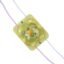 Powermaster Pm-14715 12 Volt 2 Watt Sarı Yanıp Sönen Çakar 4333-3030 Modül Led 43x33x28mm