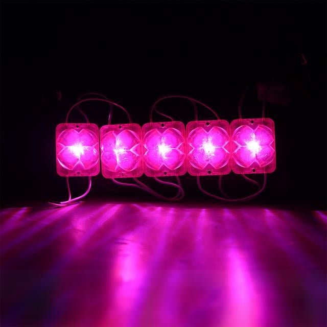 ZX179904 Powermaster Pm 14716 12 Volt 2 Watt Pe 9be8 Powermaster Pm-14716 12 Volt 2 Watt Pembe Yanıp Sönen Çakar 4333-3030 Modül Led 43x33x28mm najmaddin.com yüksek parlaklıkta ve enerji tasarruflu